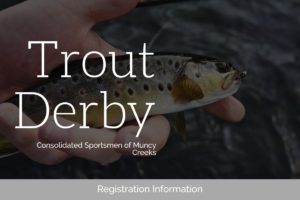 Kids trout fishing derby image